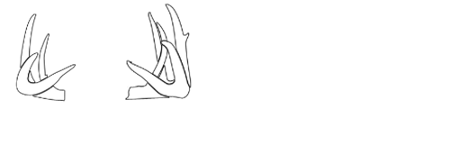 Buckeye Land Sales West Virginia logo